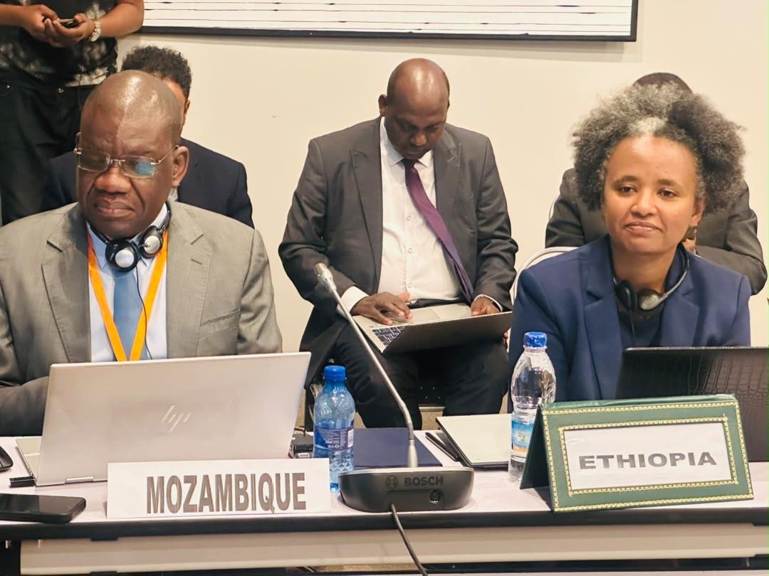MOÇAMBIQUE PARTICIPA EM SEMINÁRIO CONTINENTAL SOBRE ÁGUA E SANEAMENTO